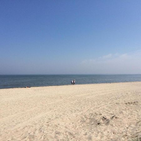 Strandgerste Schillig Exteriér fotografie